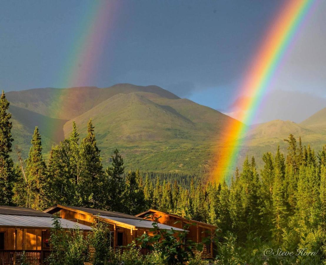McKinley Creekside Cabins Denali Park Buitenkant foto