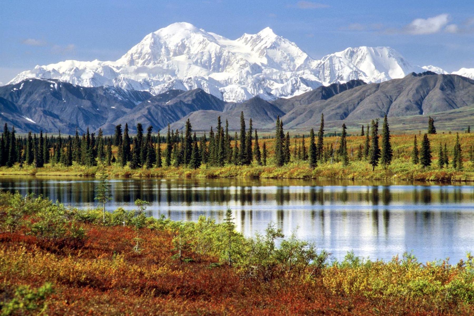 McKinley Creekside Cabins Denali Park Buitenkant foto
