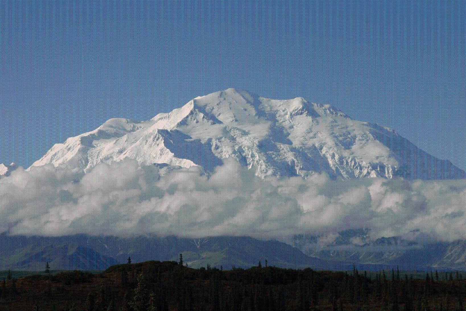 McKinley Creekside Cabins Denali Park Buitenkant foto