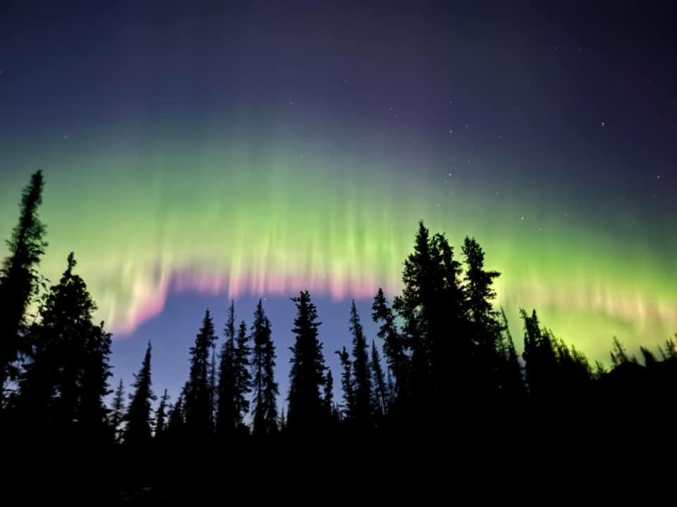 McKinley Creekside Cabins Denali Park Buitenkant foto